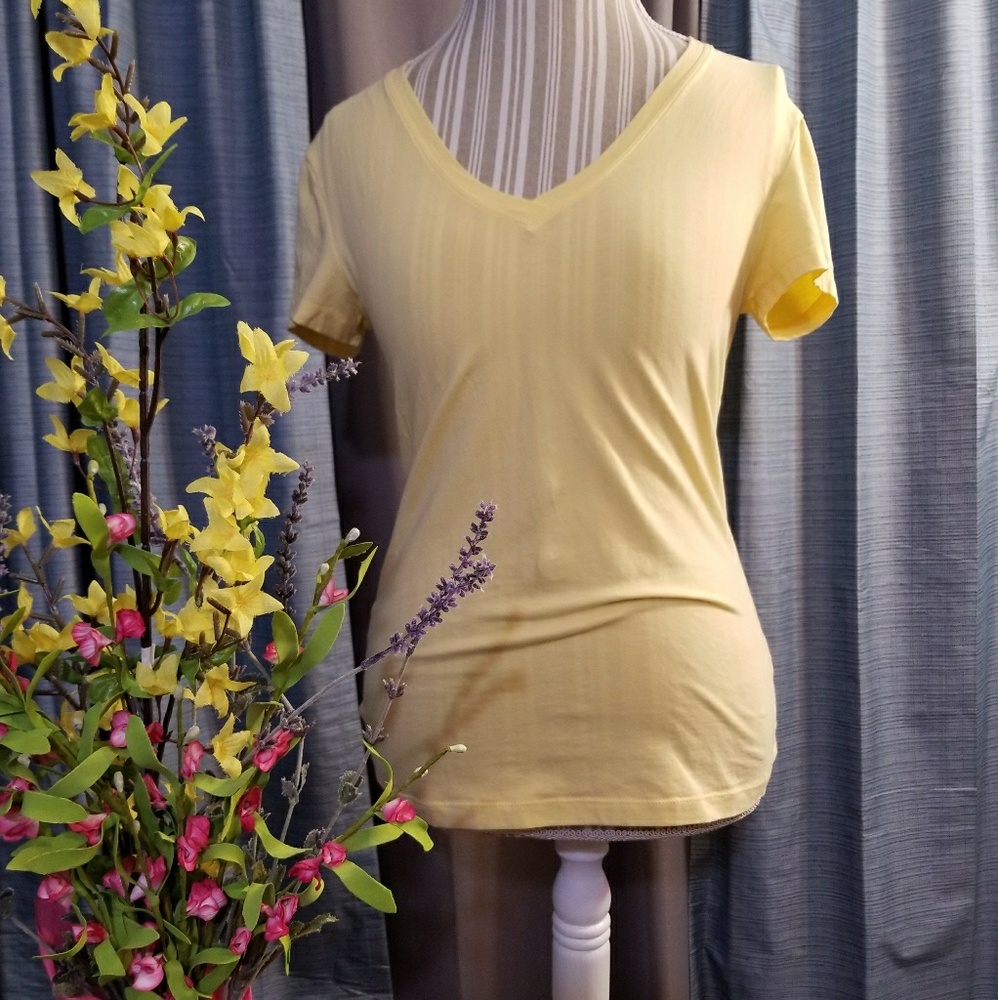 🌻🌺🌻BANANA REPUBLIC NWOT V NECK SHIRT!!
